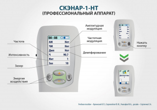 СКЭНАР-1-НТ (исполнение 02.2) Скэнар Оптима в Петрозаводске купить Медицинский интернет магазин - denaskardio.ru 