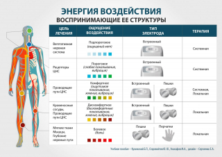 СКЭНАР-1-НТ (исполнение 01)  в Петрозаводске купить Медицинский интернет магазин - denaskardio.ru 